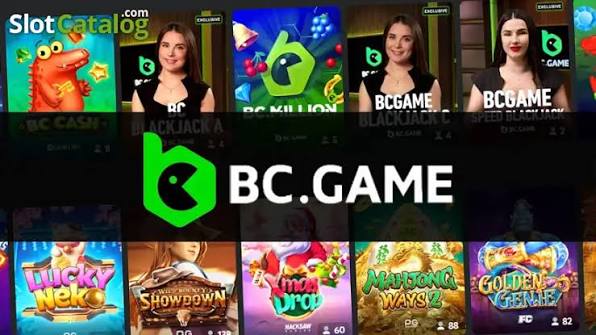 Exploring BC.Game A Comprehensive Guide to the Online Gaming Platform