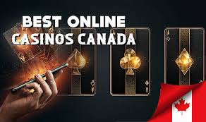 Exploring the Best Online Casinos in Canada