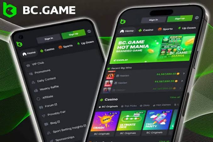 Exploring the BC.Game Platform A New Era in Crypto Gambling 925428442 Exploring the BC.Game Platform A New Era in Crypto Gambling 925428442