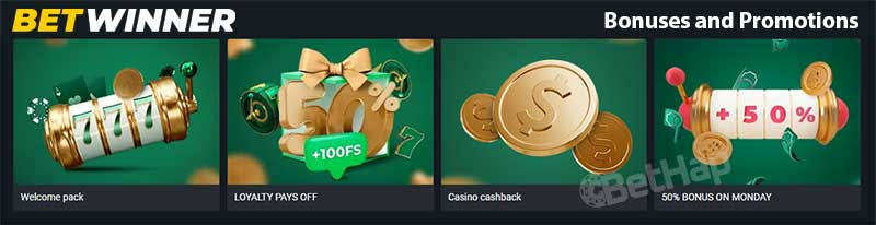 Exploring the BetWinner Platform A Comprehensive Guide for Enthusiasts